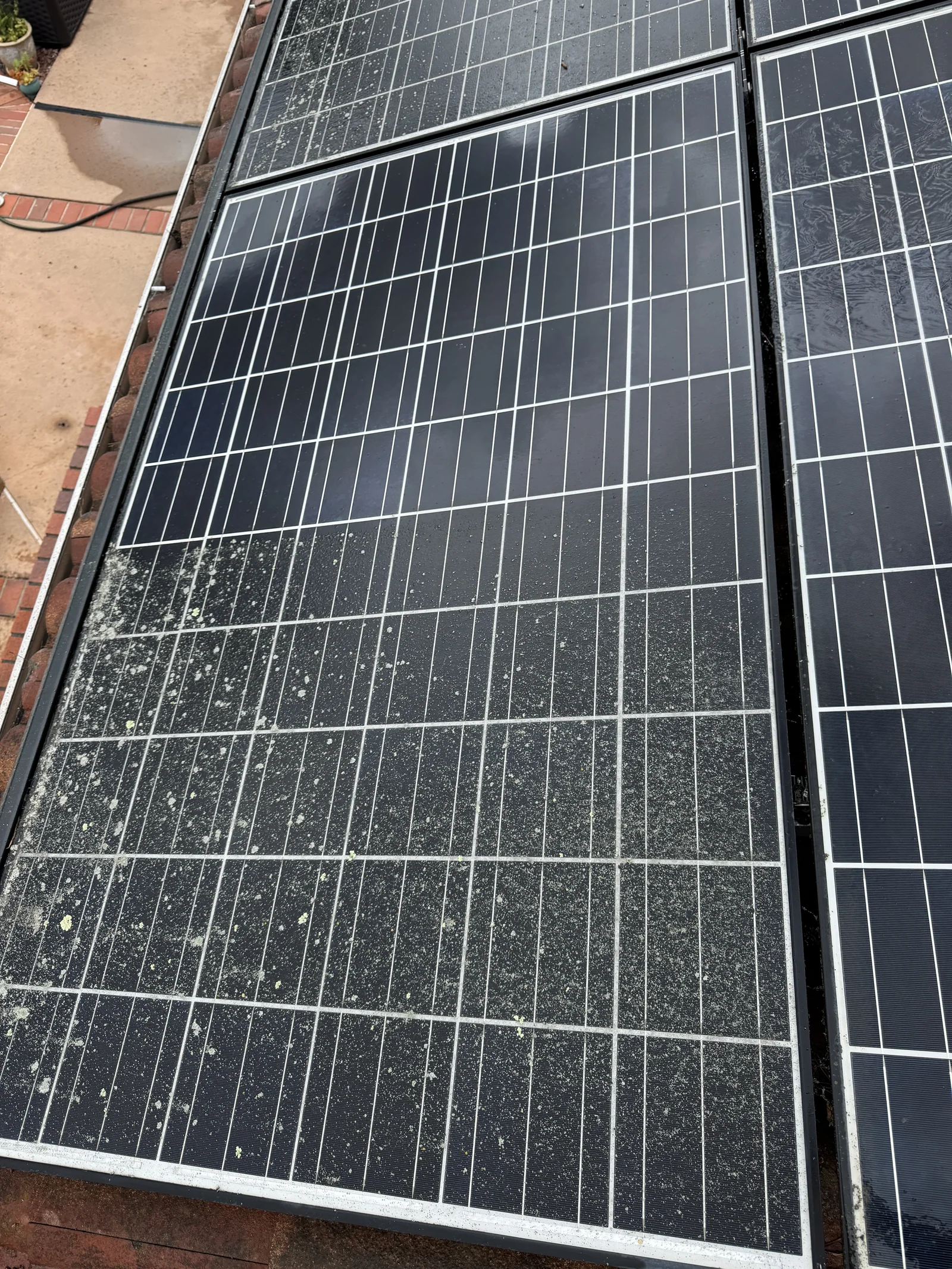 Close view of rooftop solar panels with surface buildup from the owner-supplied project gallery