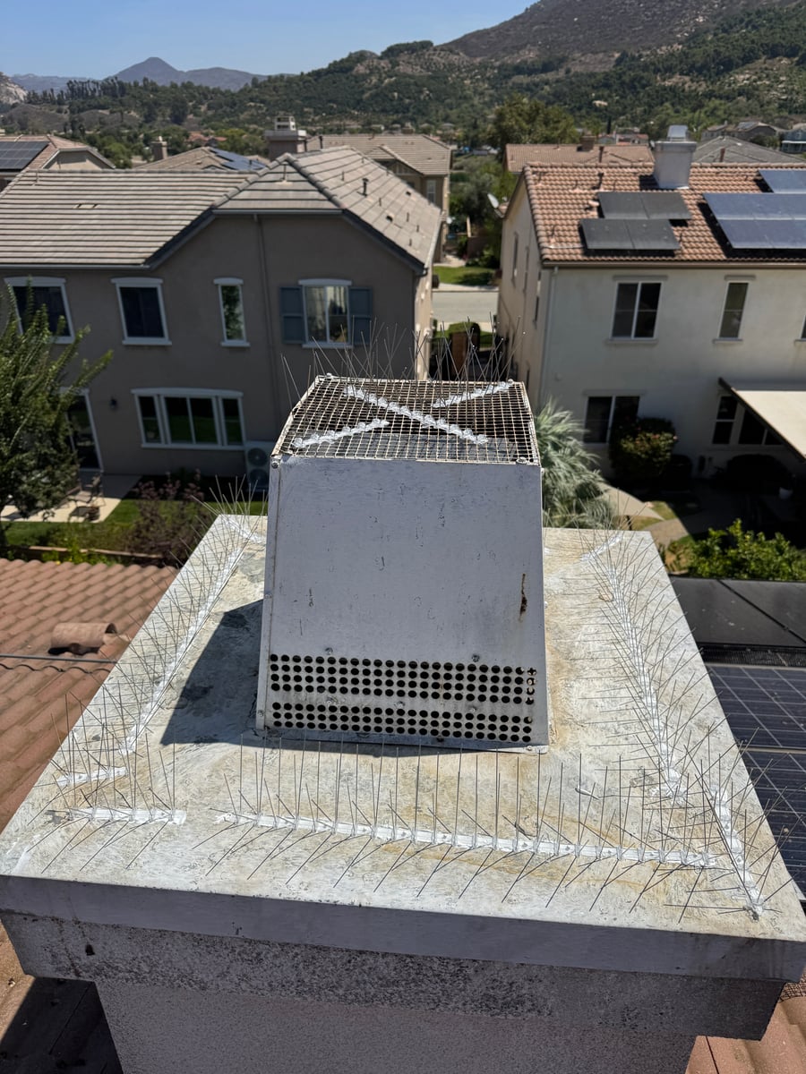 Bird spike installation and pigeon deterrent service on rooftop