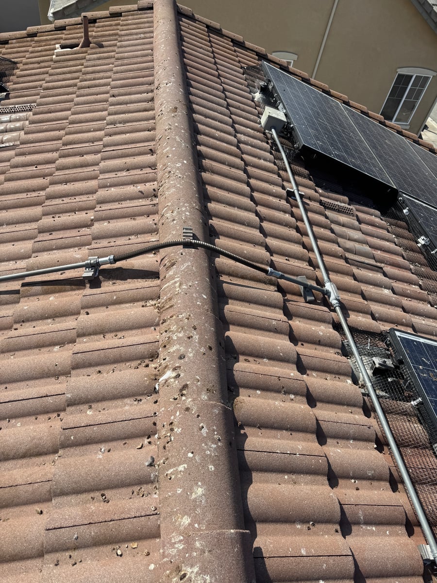 Bird spike installation and pigeon deterrent service on rooftop