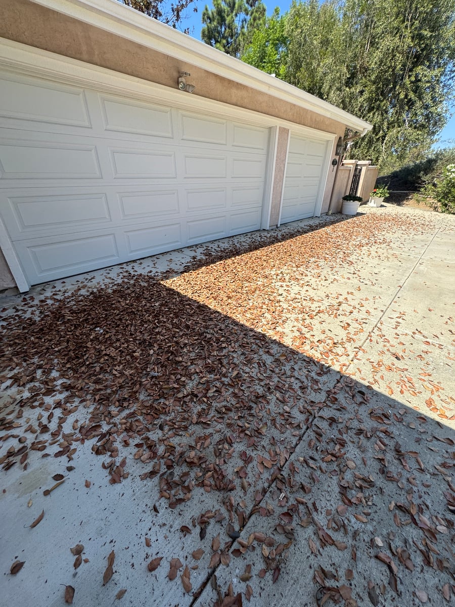 Roof debris and gutter cleaning for overhanging trees