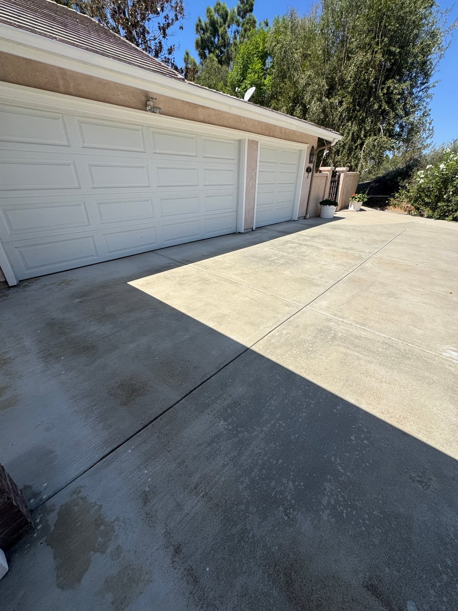 Roof debris and gutter cleaning for overhanging trees
