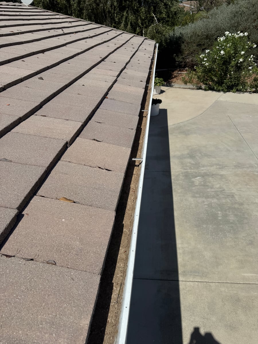 Roof debris and gutter cleaning for overhanging trees