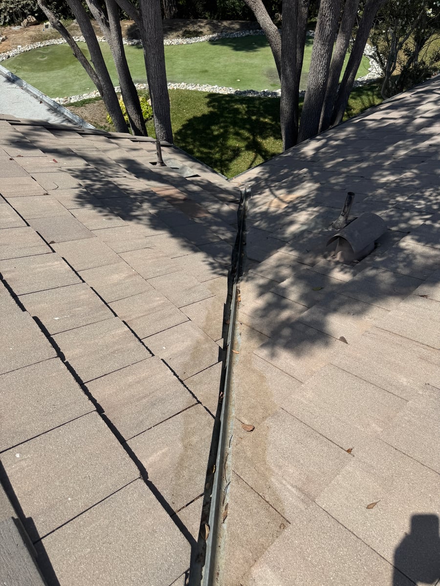 Roof debris and gutter cleaning for overhanging trees